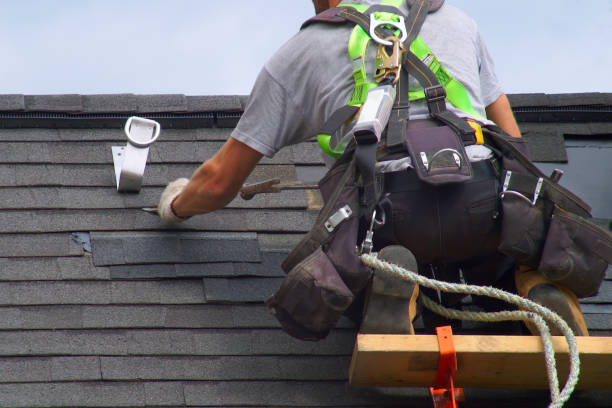 Best Roof Gutter Cleaning  in Wolf Point, MT