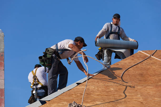 Best New Roof Installation  in Wolf Point, MT