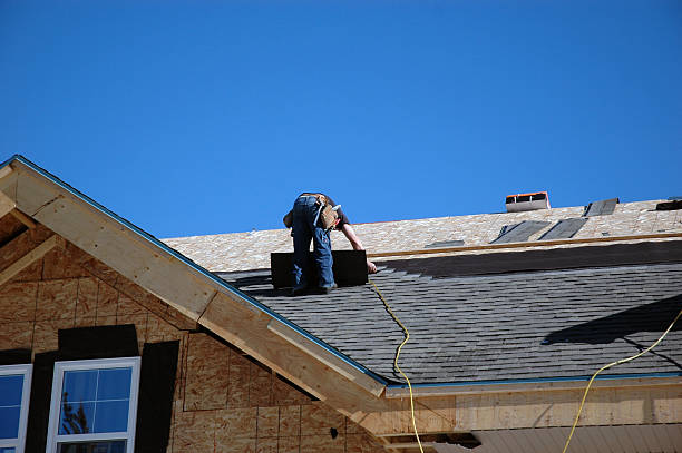 Best Storm Damage Roof Repair  in Wolf Point, MT