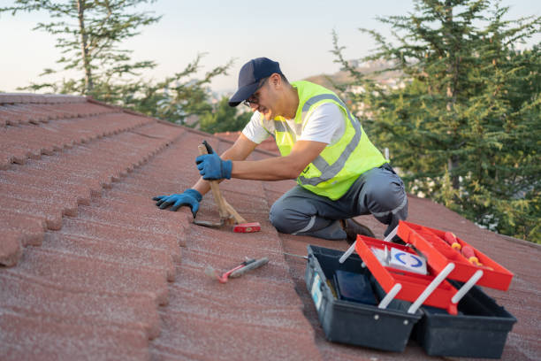 Best Roof Waterproofing Services  in Wolf Point, MT