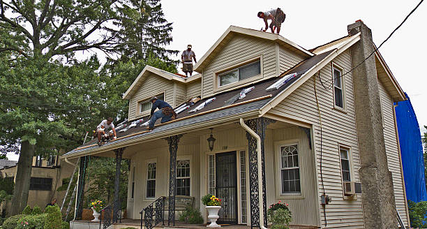 Best Residential Roofing Contractor  in Wolf Point, MT