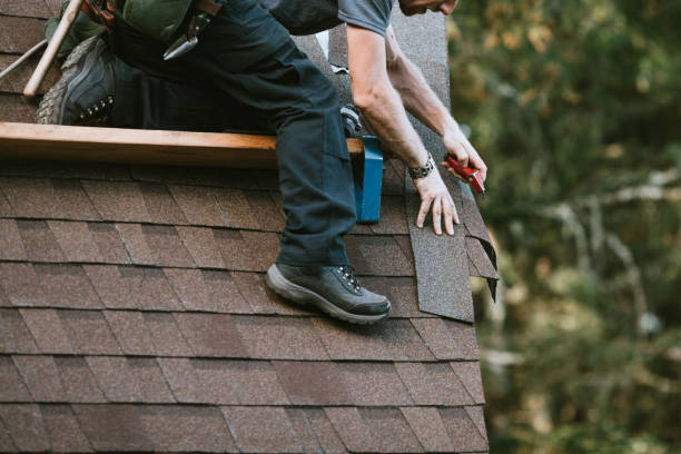 Best Roof Repair Services  in Wolf Point, MT