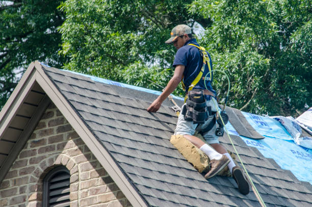 Best Roof Leak Repair  in Wolf Point, MT
